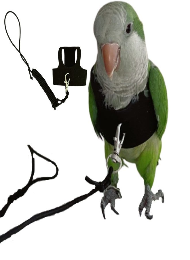 Barn Eleven Bird Flight Harness Vest, Parrot Flight Suit with Leash for Parakeets Cockatiels Conures Budgies, Bird Flying Clothes with Rope and Handle for Outdoor Activities Training, Anti Bite (Small) - Image 1